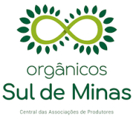 Imagem1